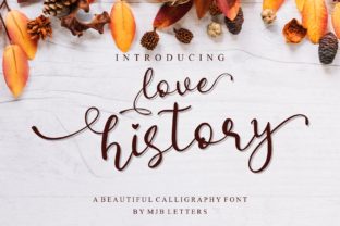 Love History: A Strategic Choice for Human-Centered Design