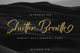 Shutter Braille Script: A Dynamic Calligraphy Font
